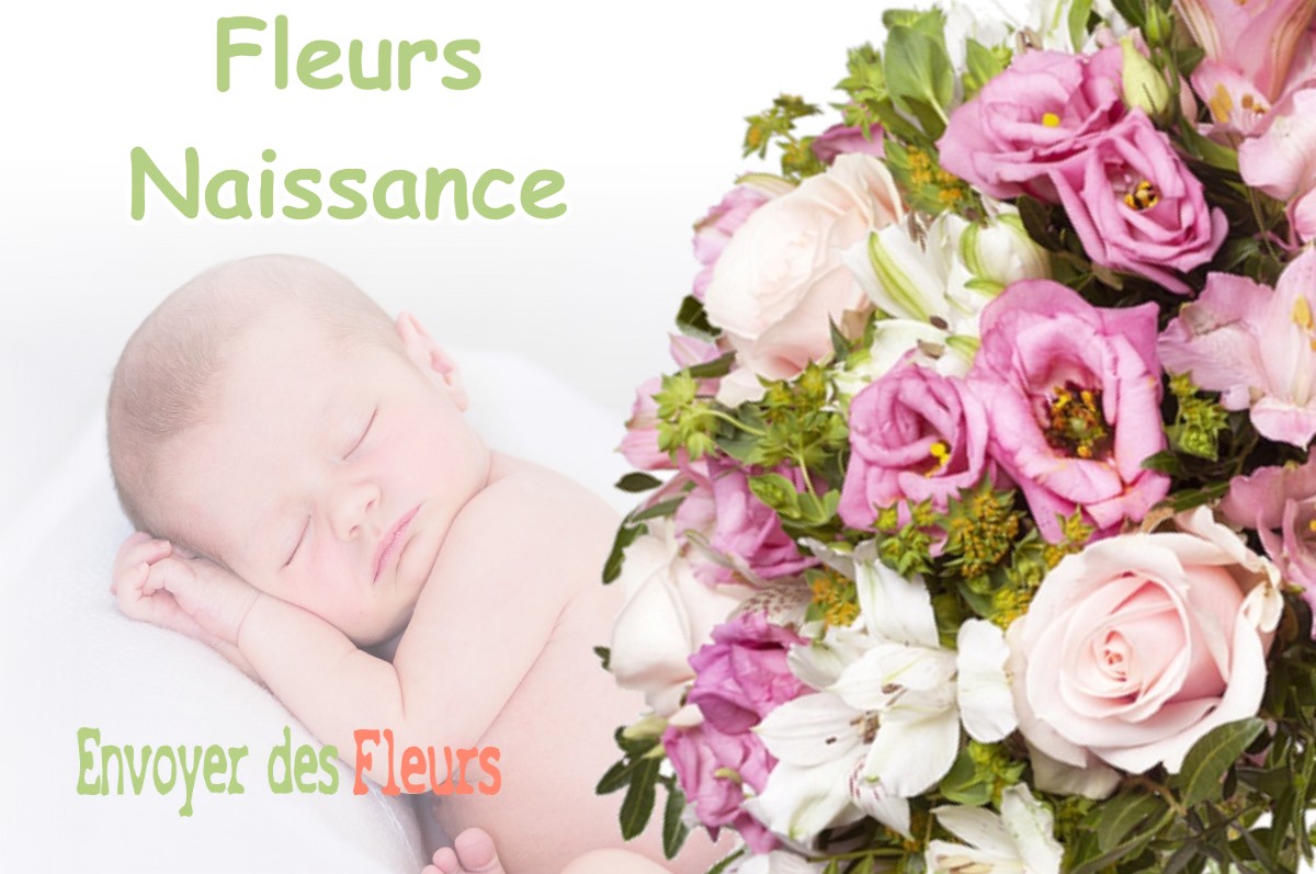 lIVRAISON FLEURS NAISSANCE à SENAS